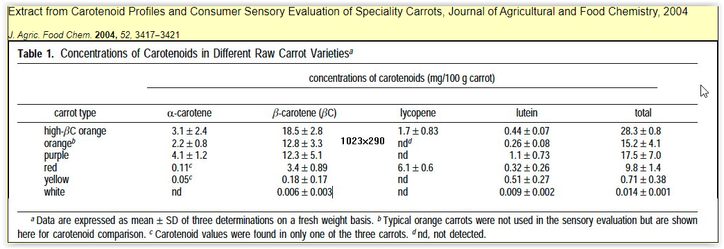84327995c46bcf2f0609fff480175859270c24c9 3 - هویج سیاه | روش کاشت و اصول پرورش هویج سیاه