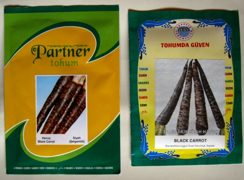 bfd4f7ff2485149939e7a09855124ff41874dfa5 3 - هویج سیاه | روش کاشت و اصول پرورش هویج سیاه