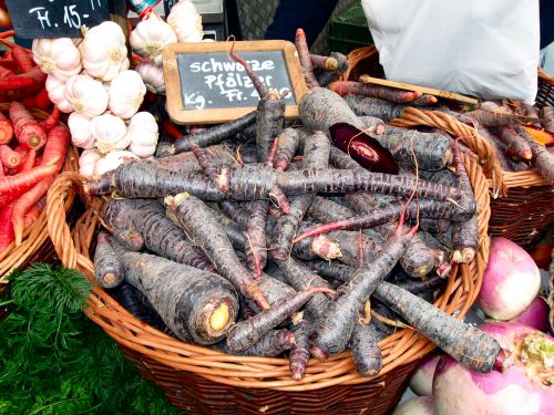 d2df7e3363e22e1231bc544d8e2a46201f458235 3 - هویج سیاه | روش کاشت و اصول پرورش هویج سیاه